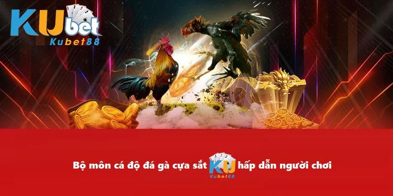 Bộ môn cá độ đá gà cựa sắt kubet88 hấp dẫn người chơi